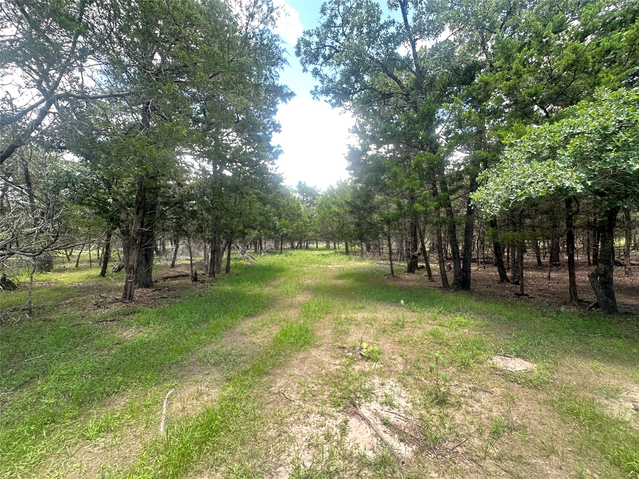 10 West Frontage Road Flatonia, TX 78941 - Photo 8 of 8
