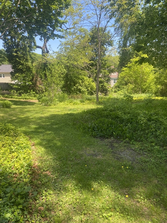 0 Archer Street Fall River, MA 02720 - Photo 5 of 5 a view of a big yard with plants and large trees