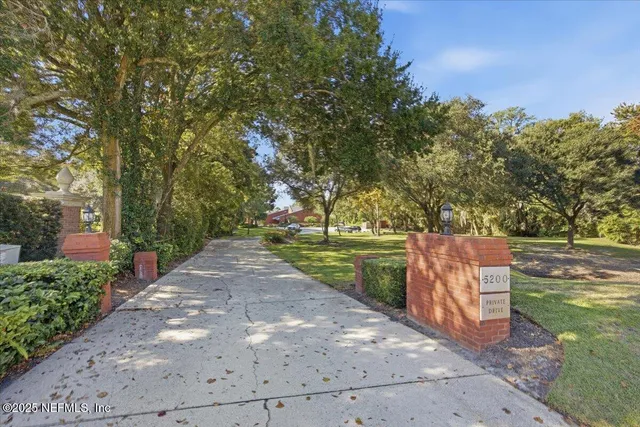 a view of a park with large trees