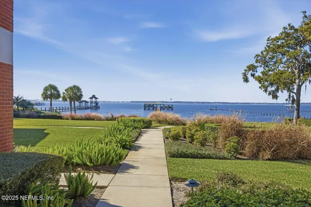 a view of a swimming pool with a yard
