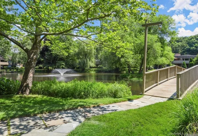 a view of a lake with a tree
