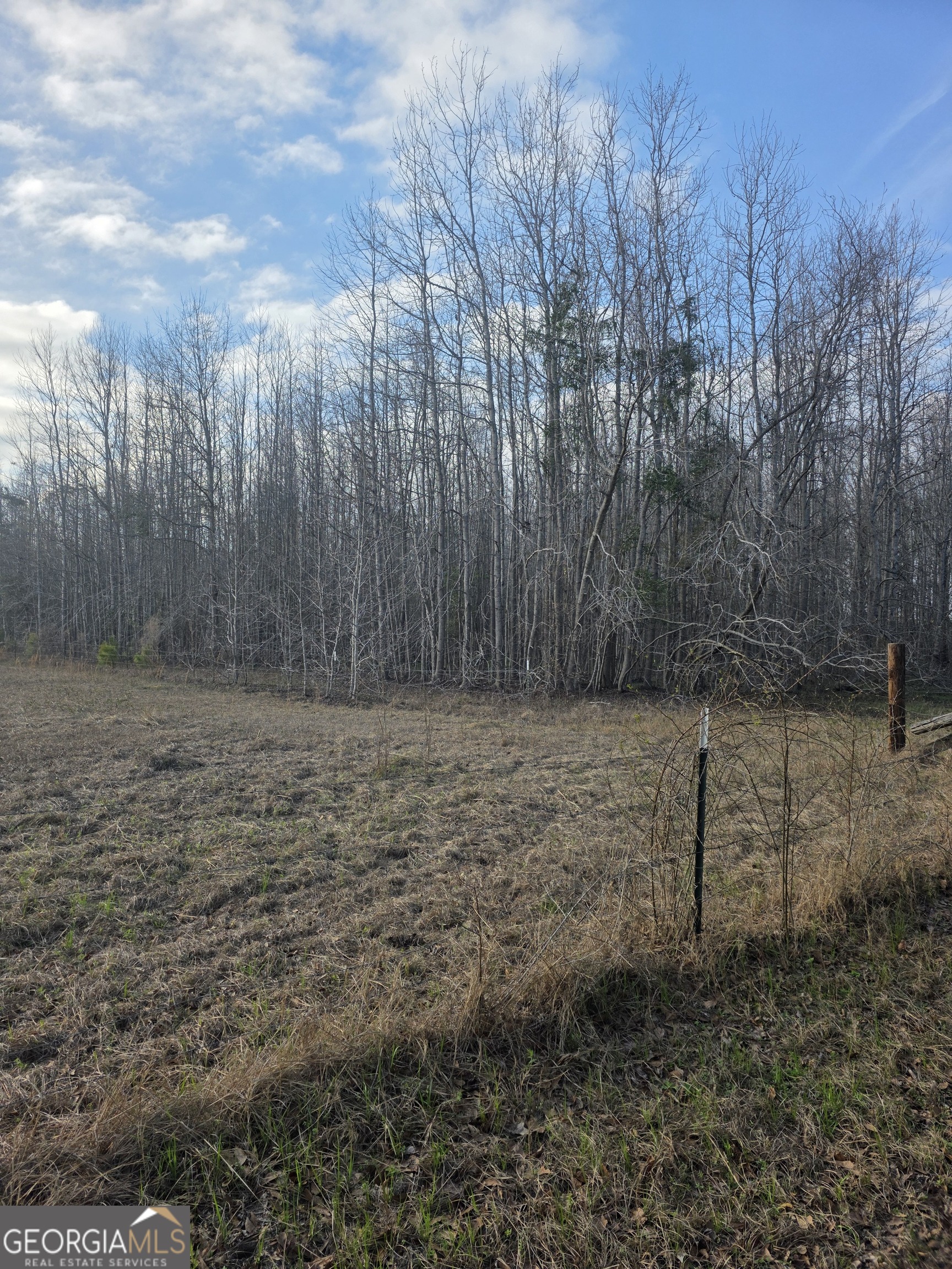 0 Perkins Green Fork Road Millen, GA 30442 - Photo 1 of 3 a view of a backyard