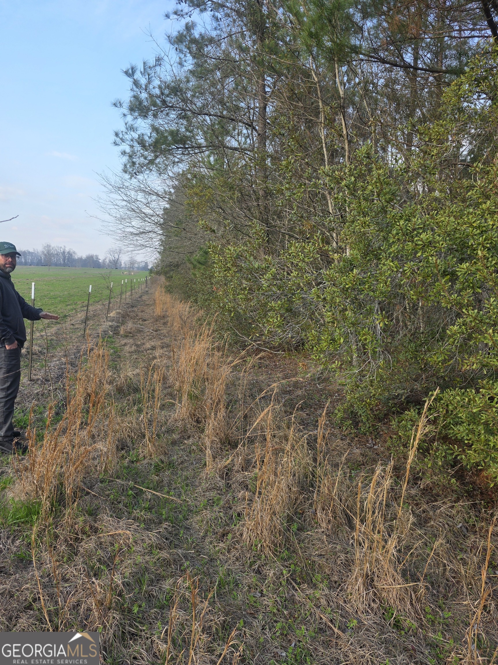 0 Perkins Green Fork Road Millen, GA 30442 - Photo 2 of 3 a view of a yard with a tree