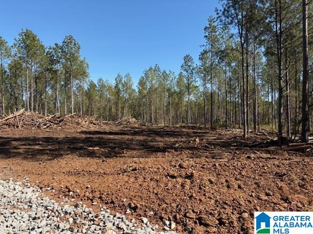 231 Us Highway Mathews, AL 36052 - Photo 10 of 22