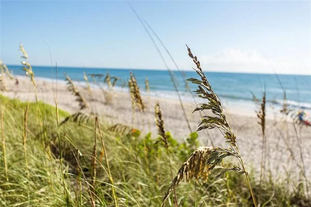 656 Fiddlewood Road Vero Beach, FL 32963 - Photo 36 of 36 Gallery Image 36