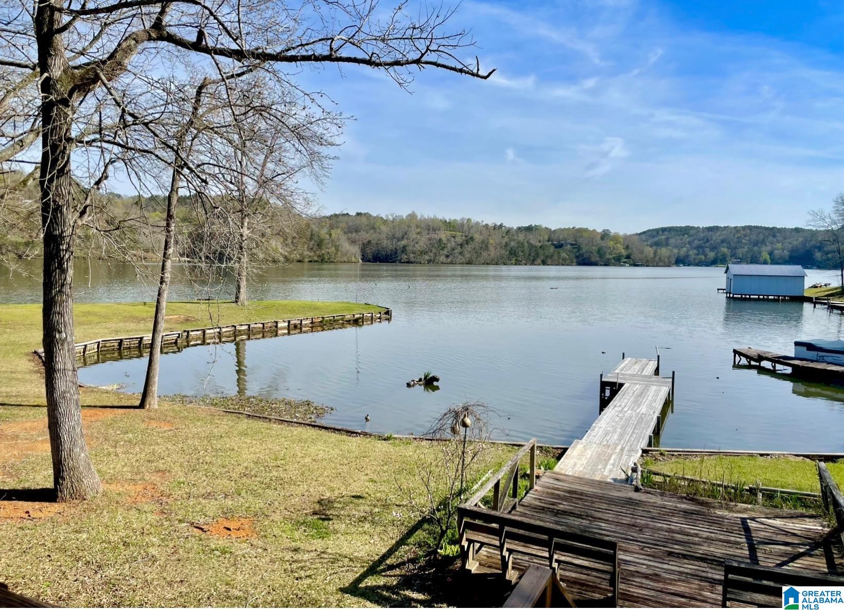 71 Marina Place Adger, AL 35006 - Photo 1 of 22