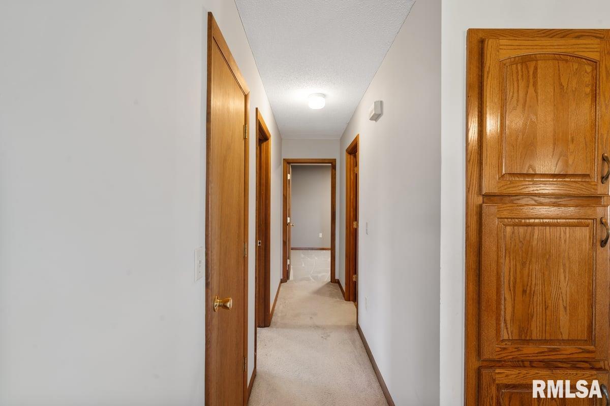 42 Bowed Tree Road Stonefort, IL 62987 - Photo 18 of 24