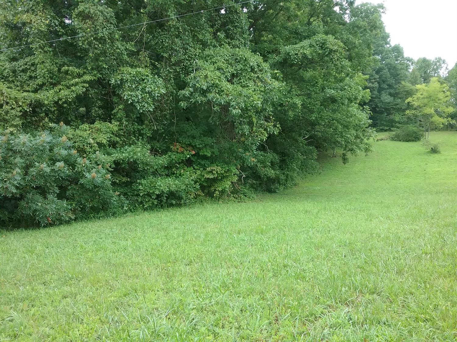 9999 Galimore Road Pine Knot, KY 42635 - Photo 1 of 35 Photo 1