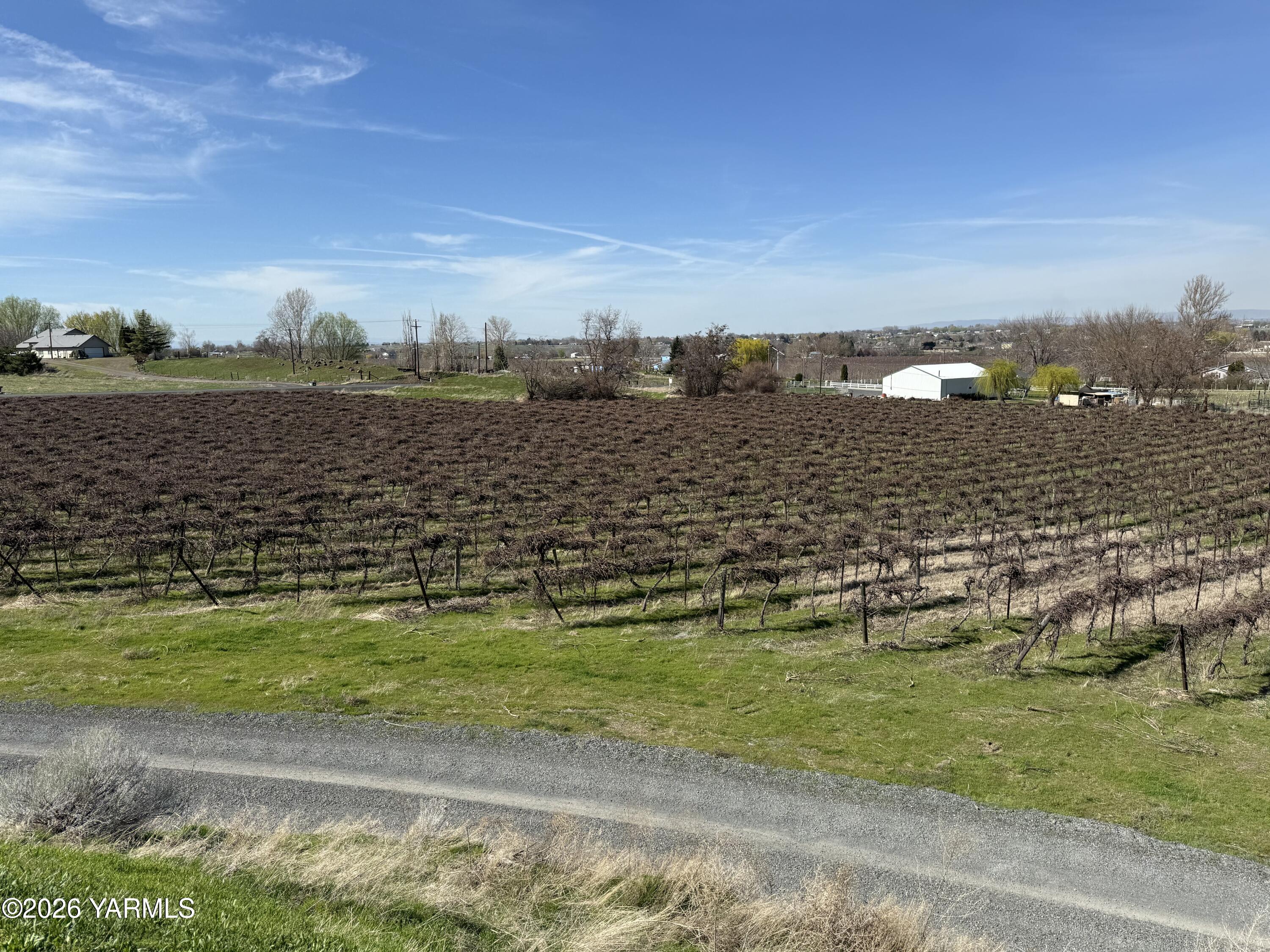 Tbd Richards Road Prosser, WA 99350 - Photo 20 of 26 IMG_8290