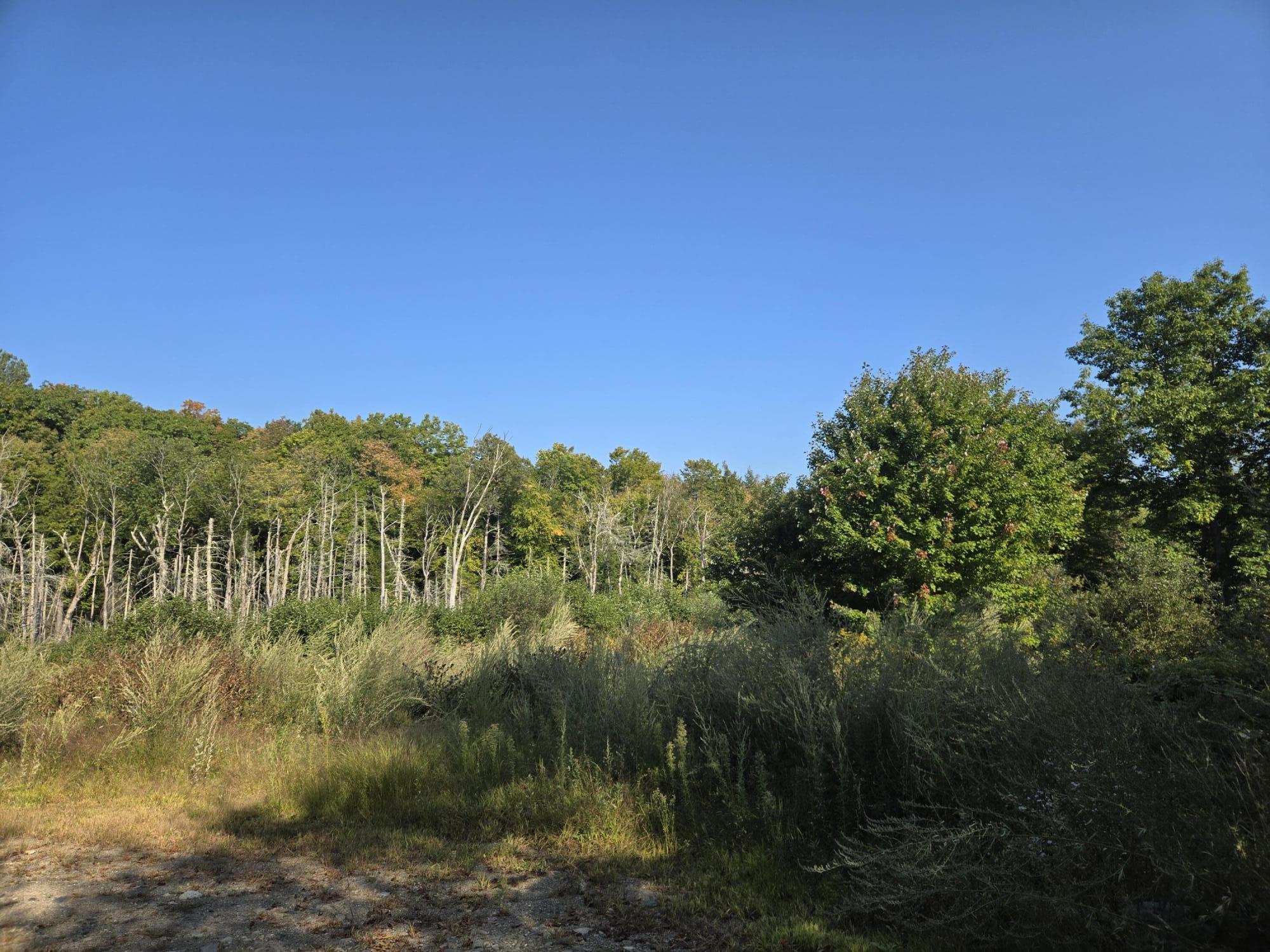 233 Valley Road Brooks, ME 04921 - Photo 4 of 6 View Beyond Driveway