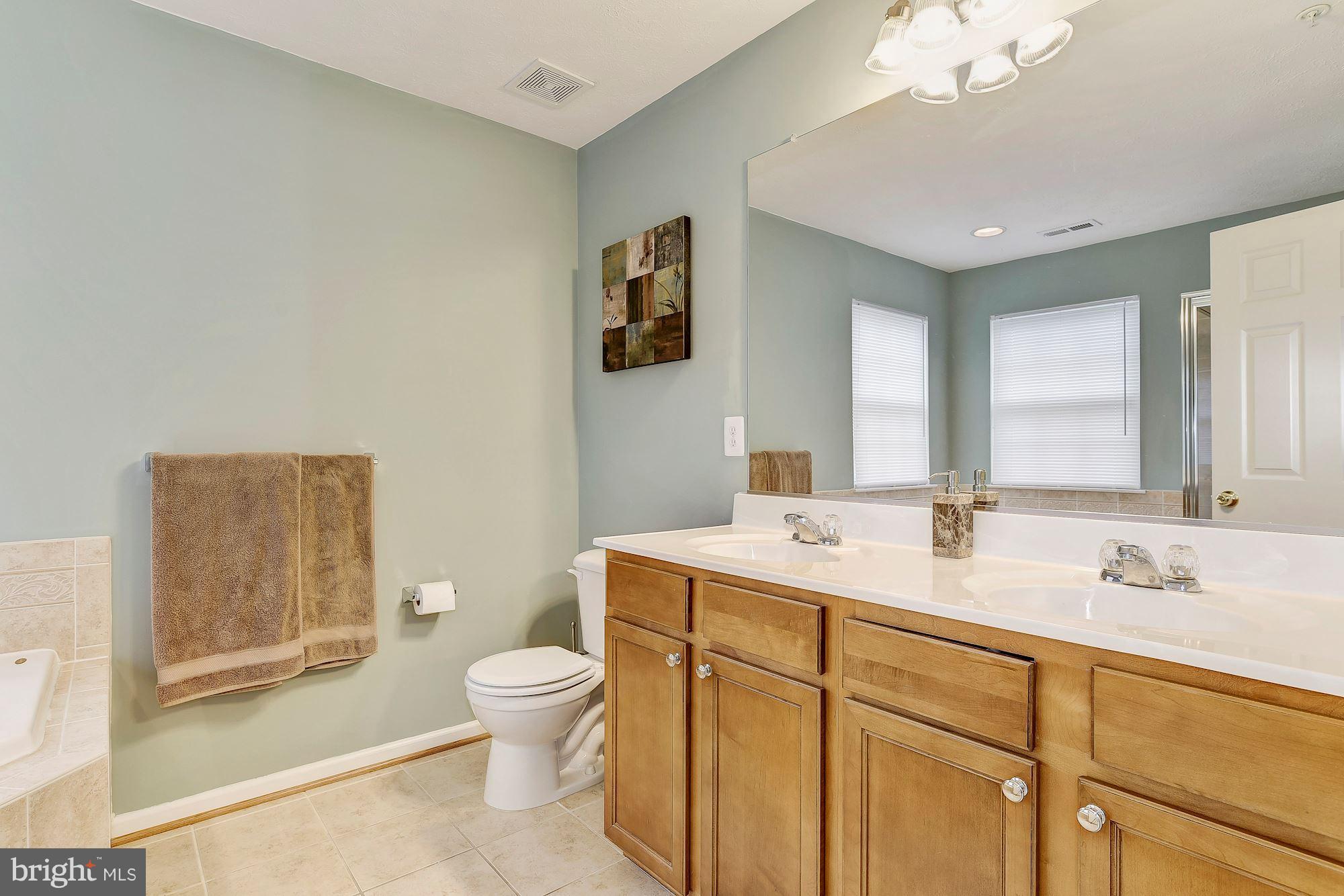 9717 Davison Road Baltimore, MD 21220 - Photo 19 of 30 En Suite Master Bath