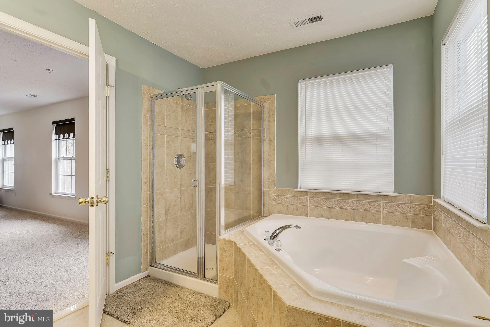 9717 Davison Road Baltimore, MD 21220 - Photo 20 of 30 En Suite Master Bath