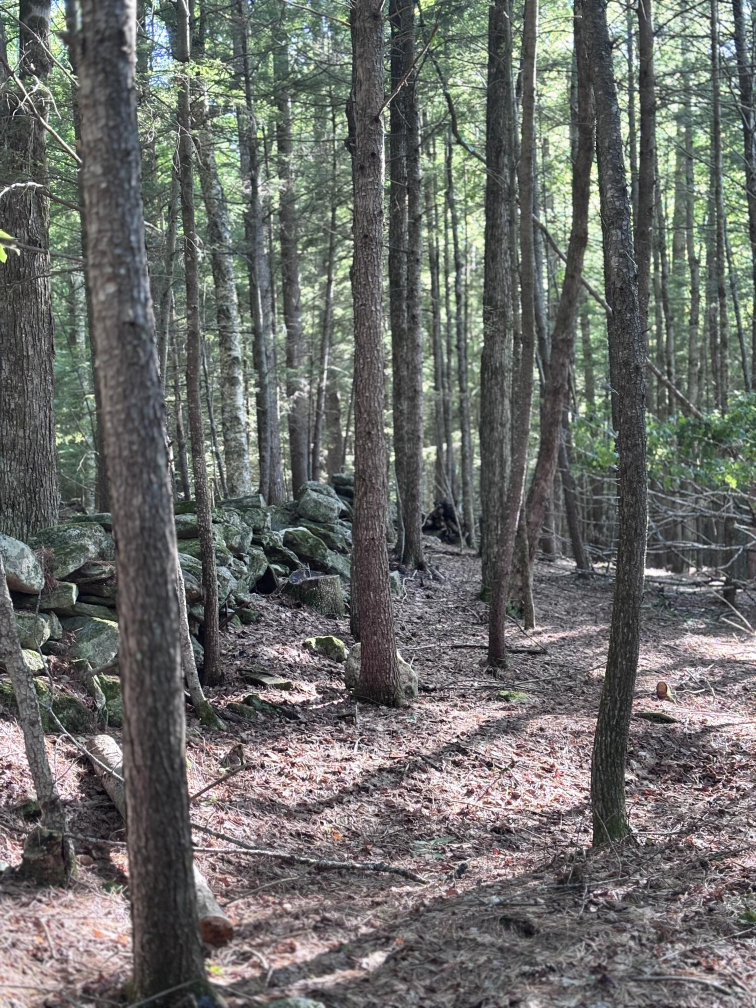 Lot #22 Streaked Mountain Road Buckfield, ME 04220 - Photo 2 of 14 image0