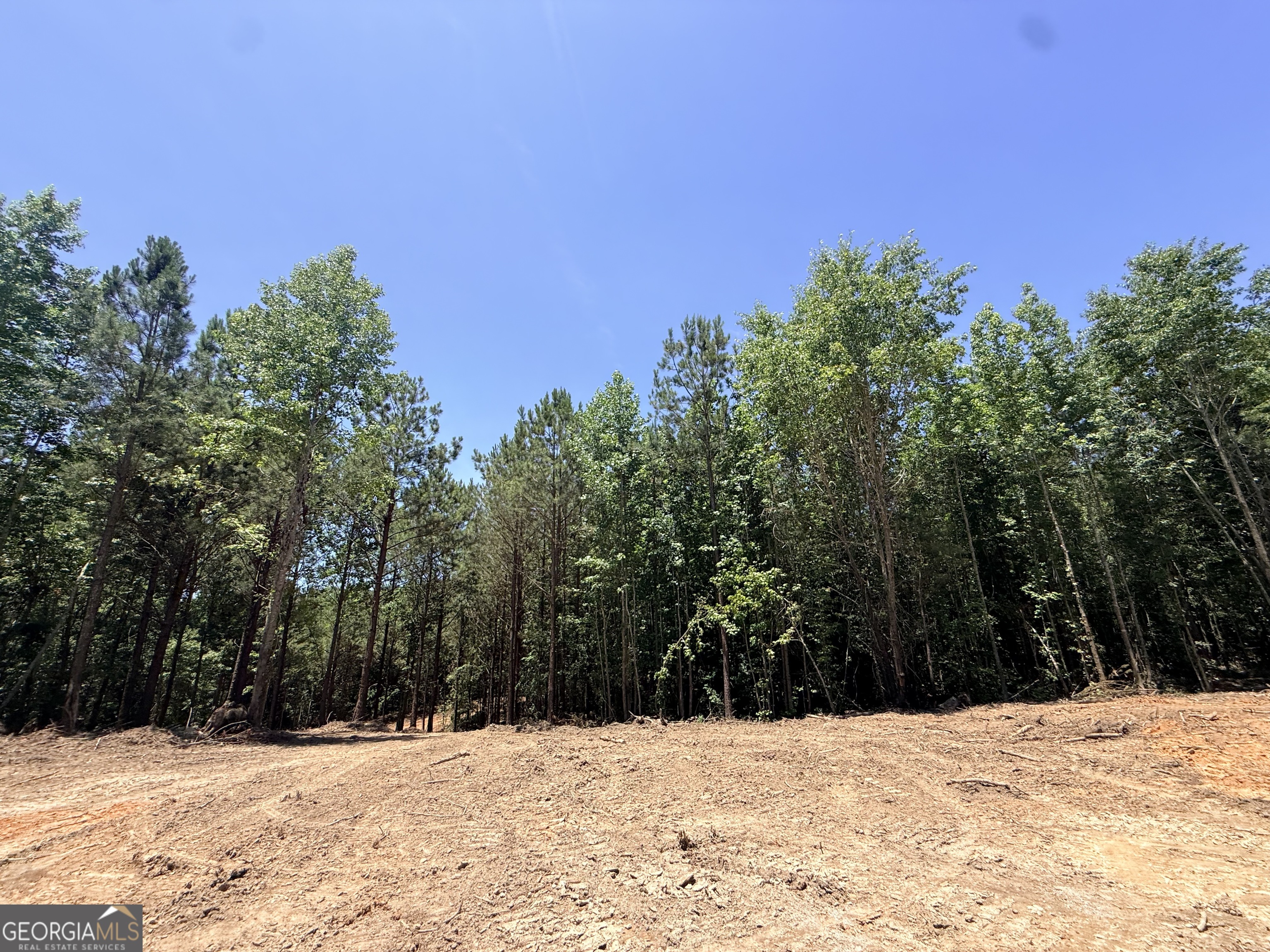 2807 Cedar Creek Road Elberton, GA 30635 - Photo 33 of 109