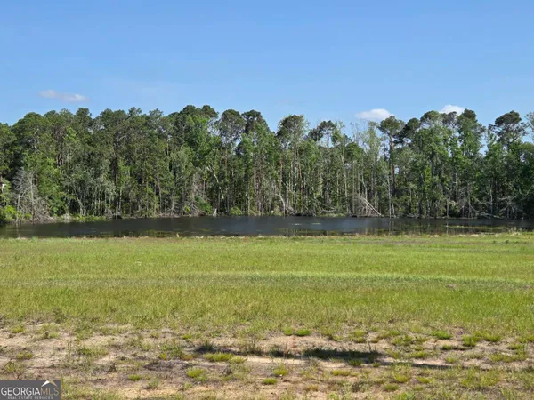 a view of a field with an ocean