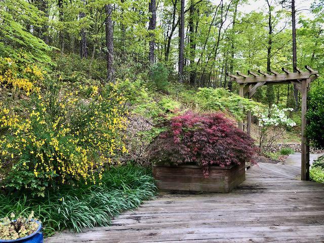 5192 Fox Ridge Road Southwest Roanoke, VA 24018 - Photo 72 of 83 foxridge Apr2020 - 3