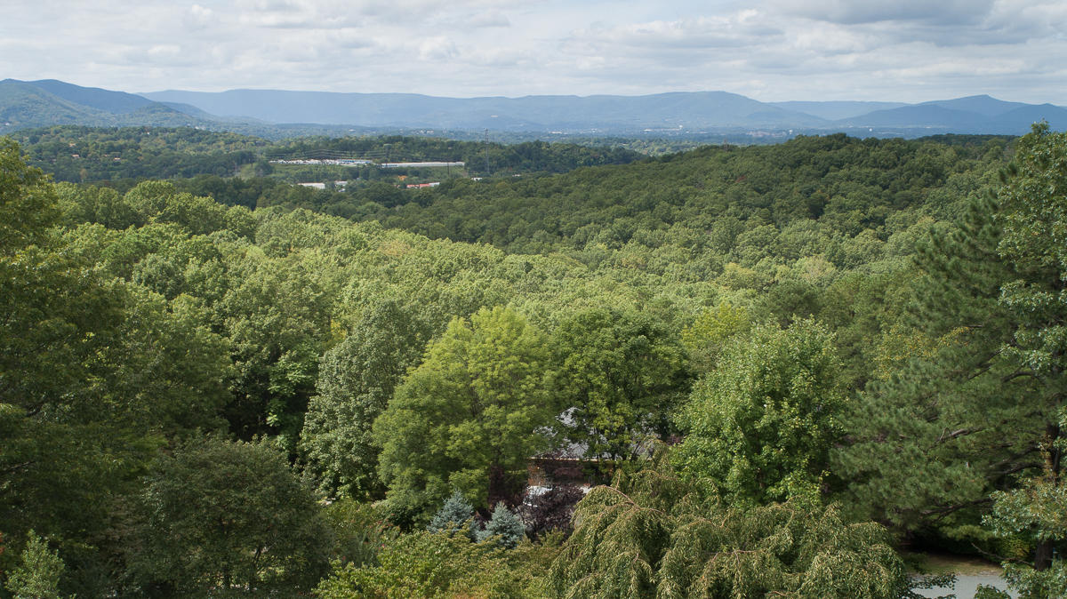 5192 Fox Ridge Road Southwest Roanoke, VA 24018 - Photo 81 of 83 Aerial View