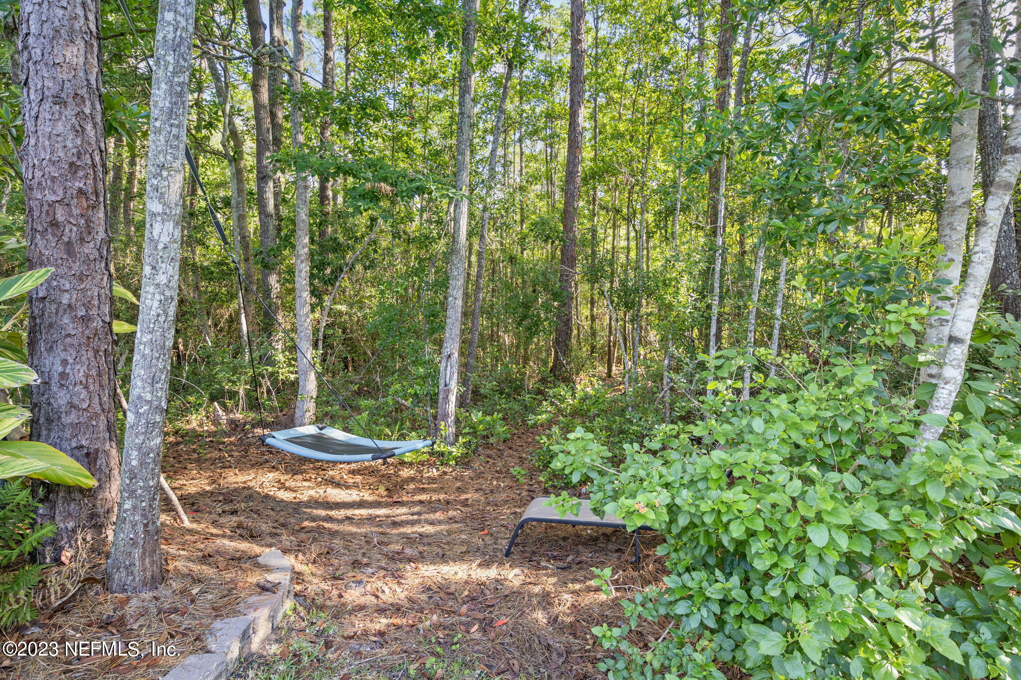 944 North Lilac Loop St. Johns, FL 32259 - Photo 29 of 32 a view of a yard with plants and trees
