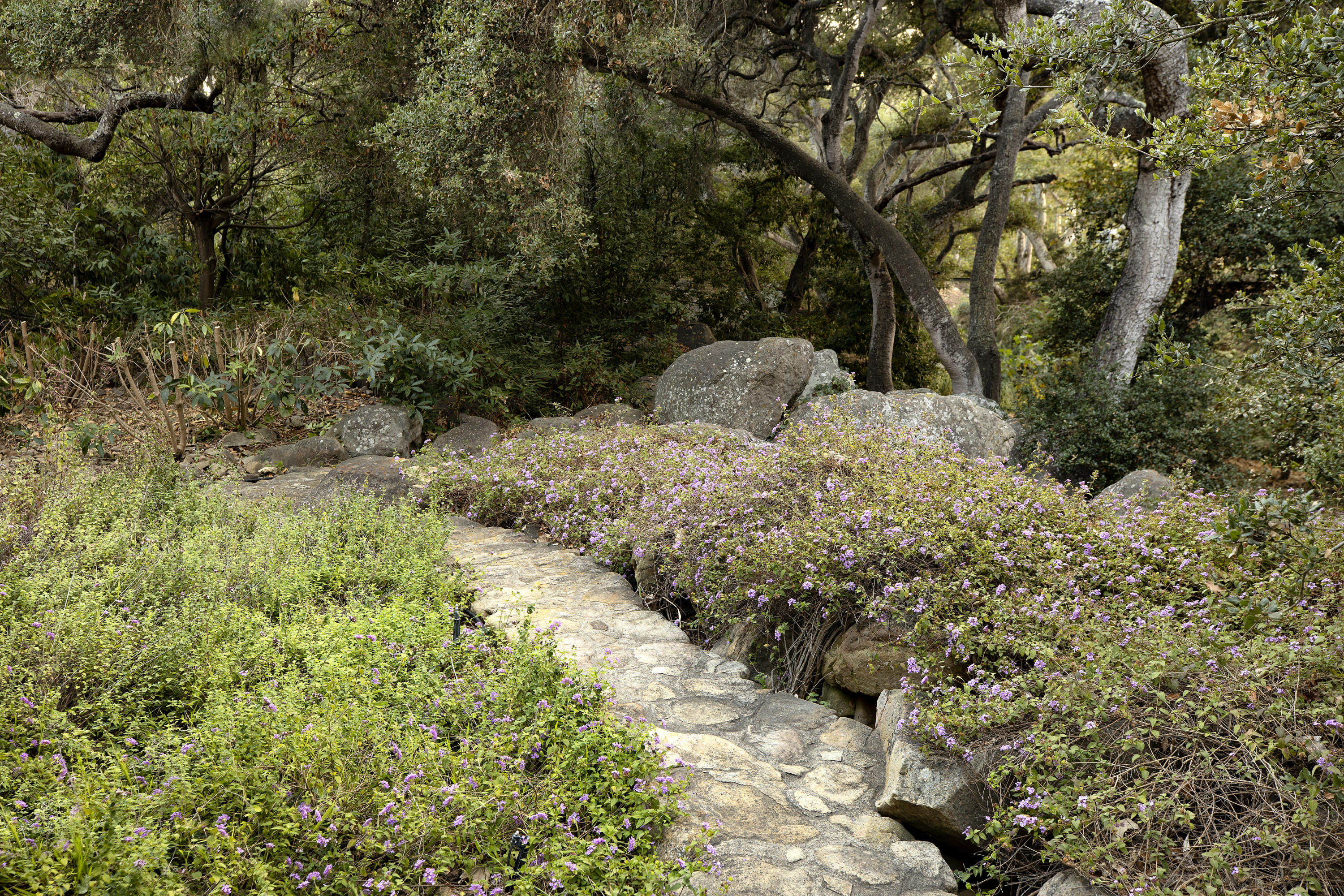 521 Toro Canyon Road Montecito, CA 93108 - Photo 14 of 17 Walkway