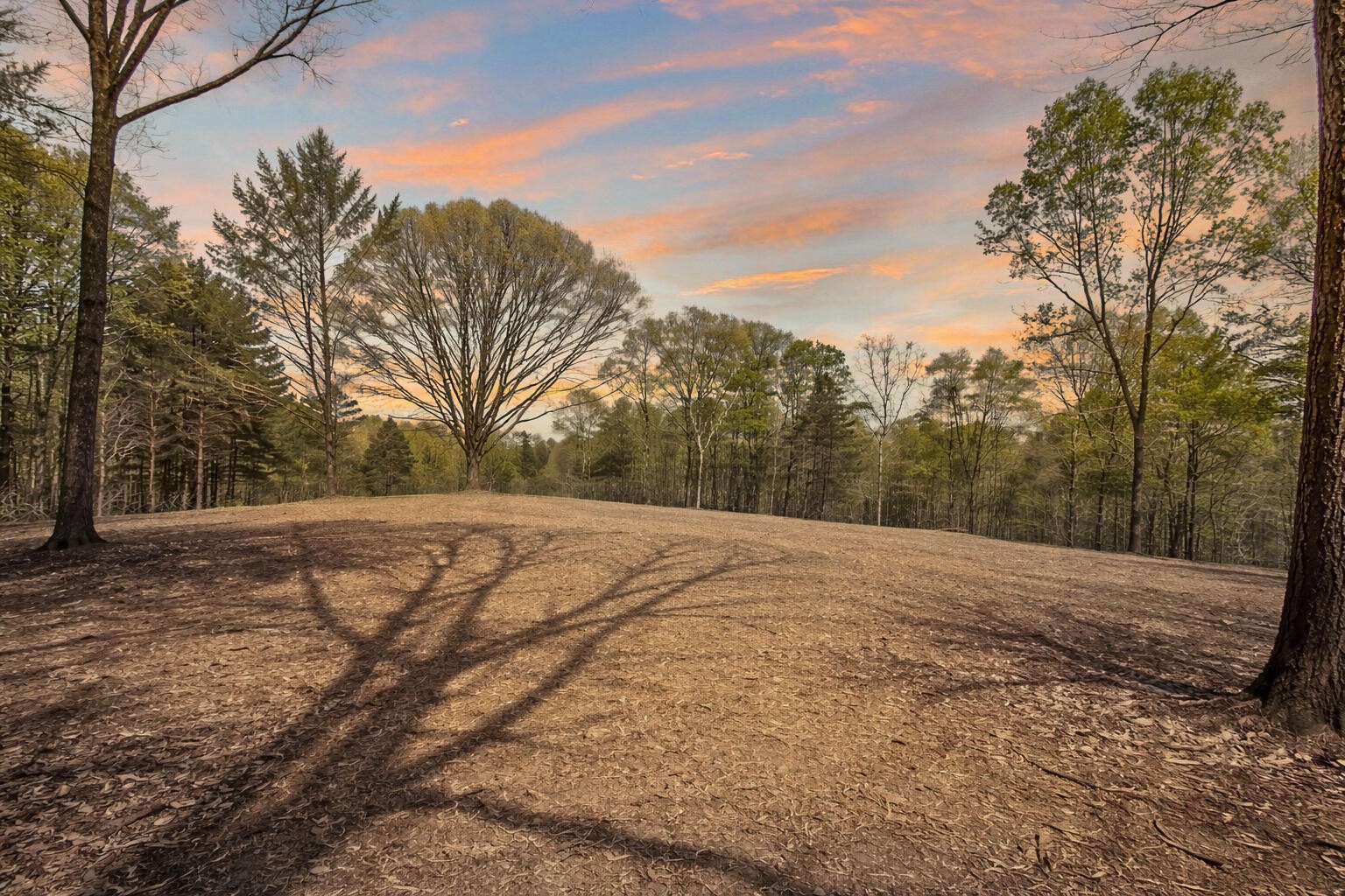 0 Butcher Ridge Road Cumberland Furnace, TN 37051 - Photo 2 of 9