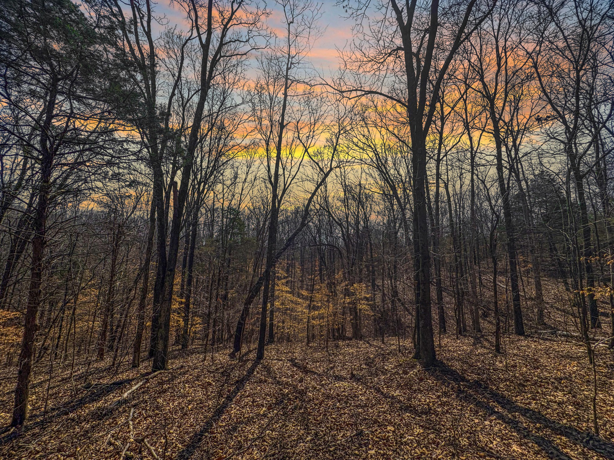 0 Butcher Ridge Road Cumberland Furnace, TN 37051 - Photo 3 of 9