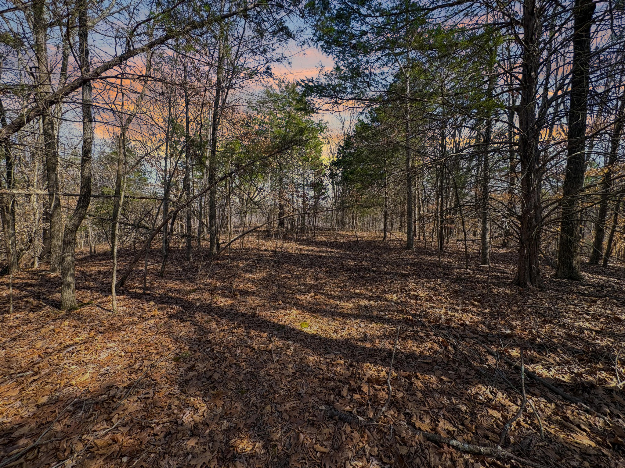 0 Butcher Ridge Road Cumberland Furnace, TN 37051 - Photo 4 of 9