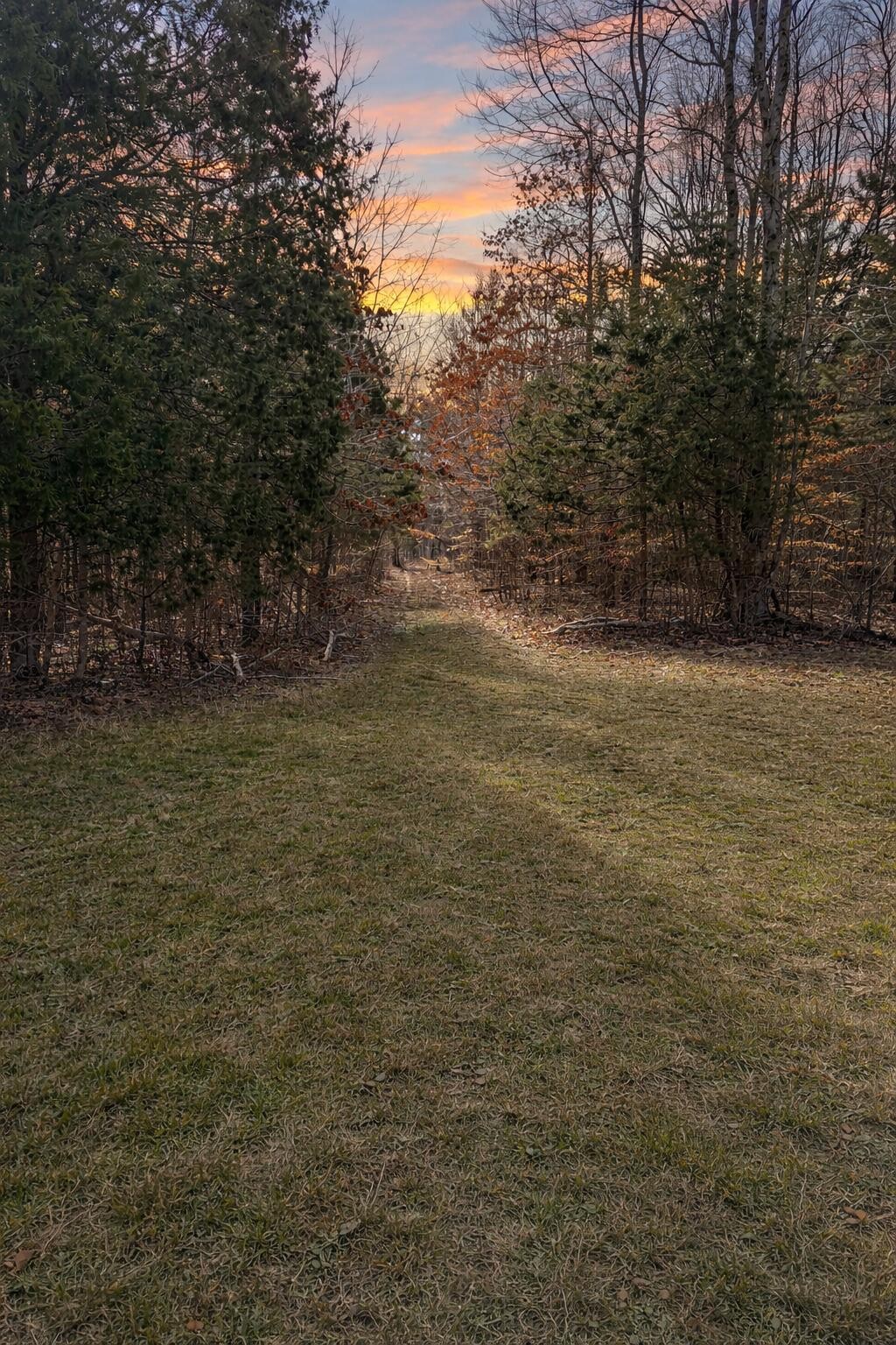 0 Butcher Ridge Road Cumberland Furnace, TN 37051 - Photo 5 of 9