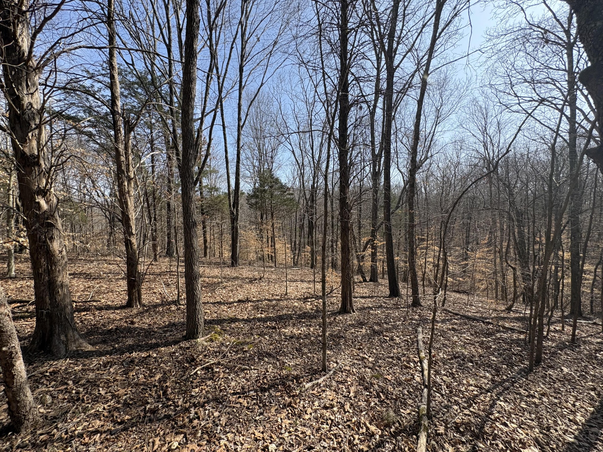 0 Butcher Ridge Road Cumberland Furnace, TN 37051 - Photo 6 of 9