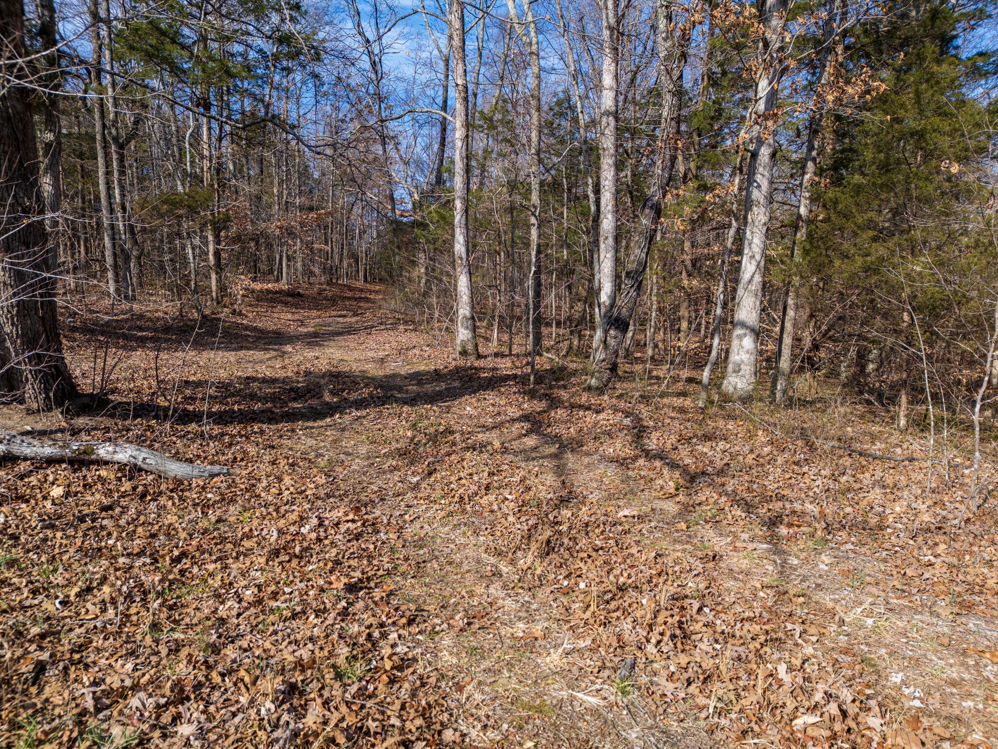 0 Butcher Ridge Road Cumberland Furnace, TN 37051 - Photo 7 of 9