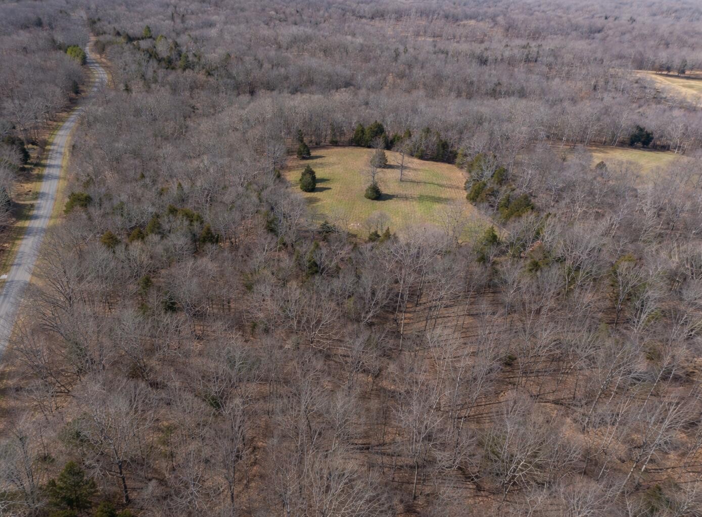 0 Butcher Ridge Road Cumberland Furnace, TN 37051 - Photo 8 of 9