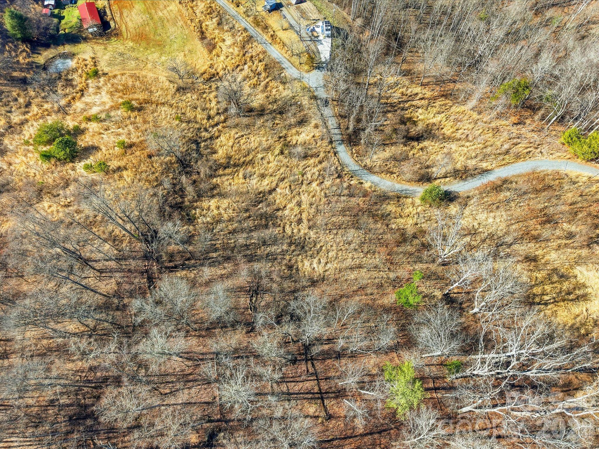 99999 Morgan Branch Road Marshall, NC 28753 - Photo 11 of 16