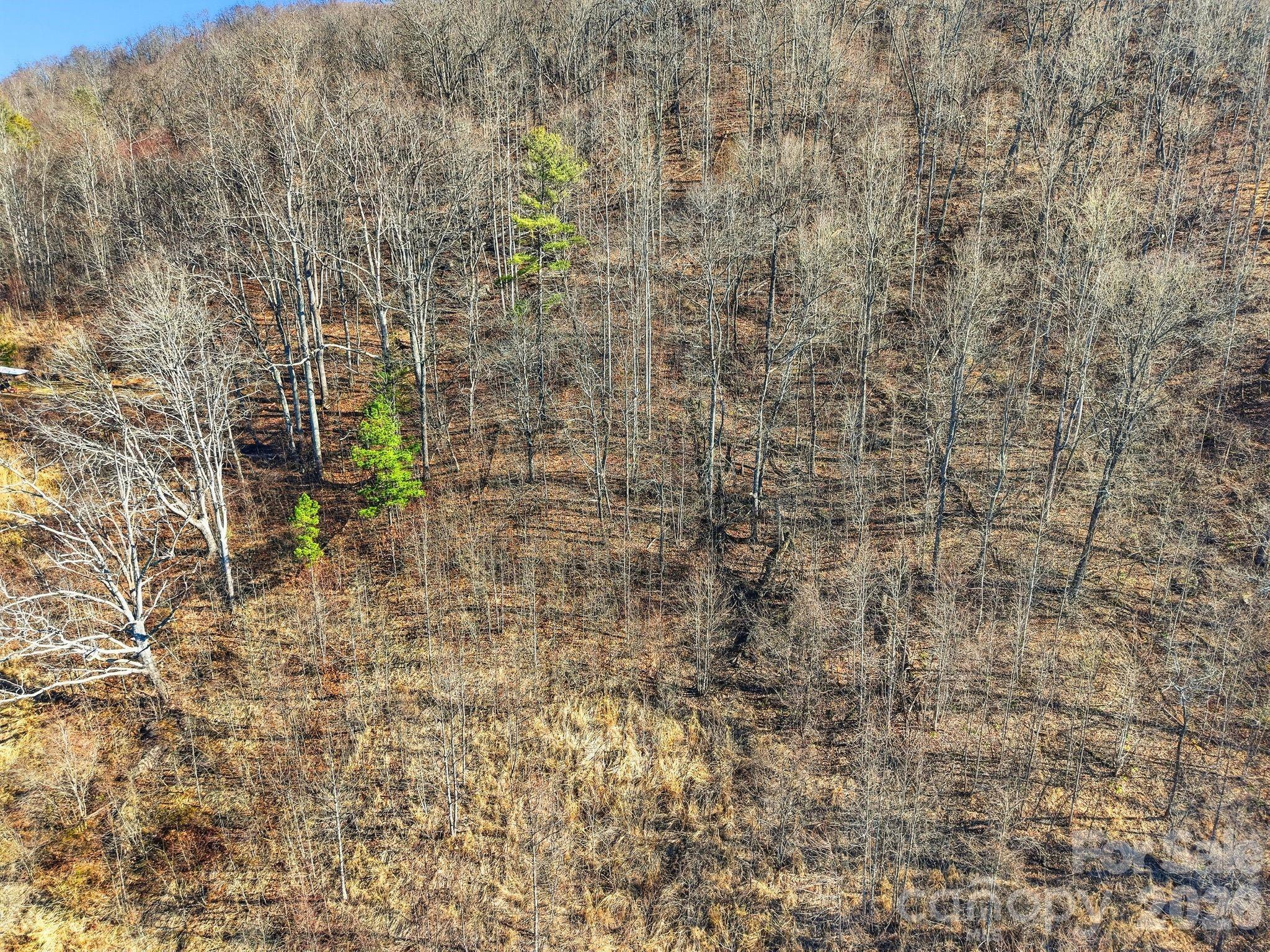 99999 Morgan Branch Road Marshall, NC 28753 - Photo 12 of 16