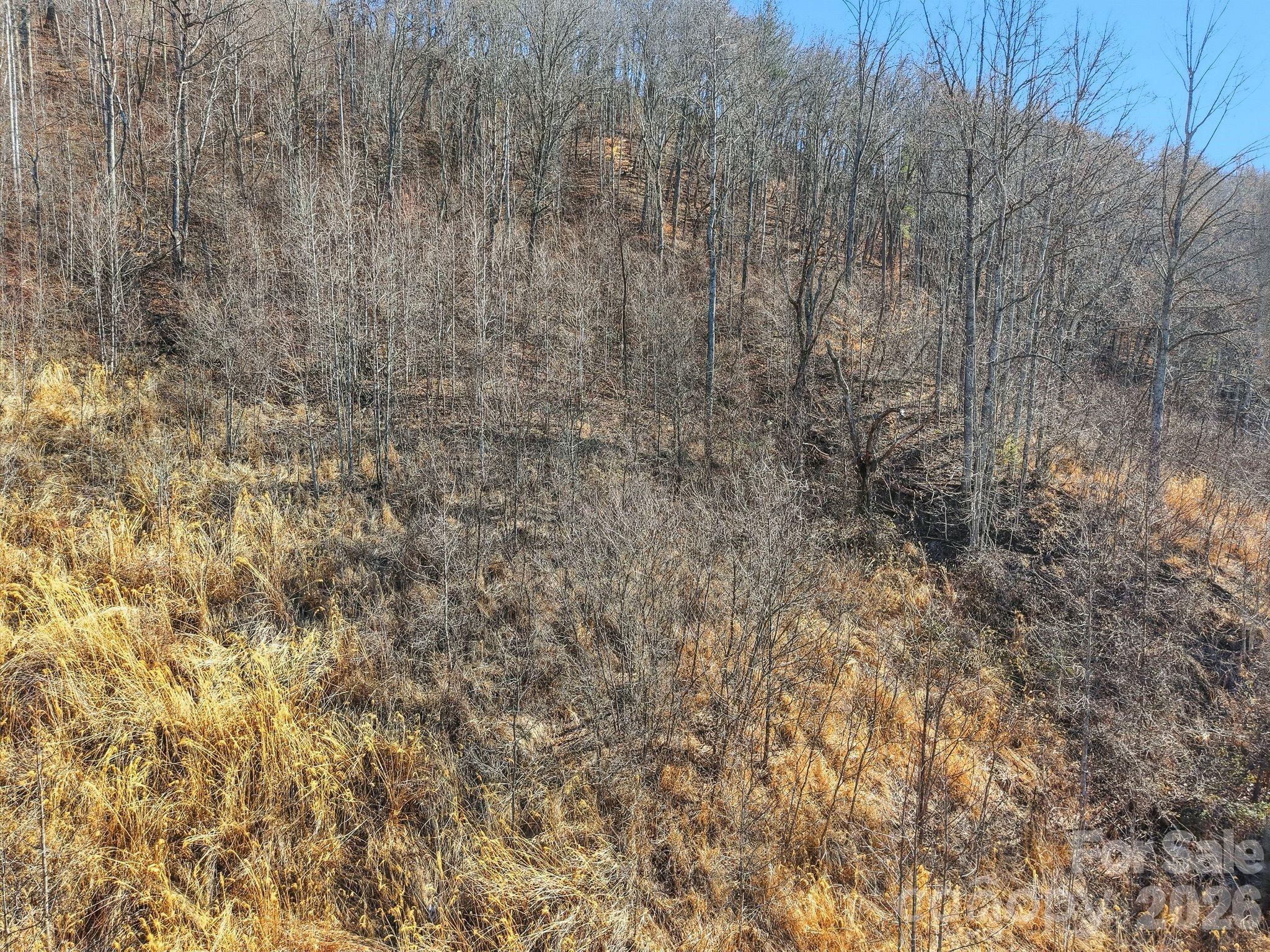 99999 Morgan Branch Road Marshall, NC 28753 - Photo 13 of 16