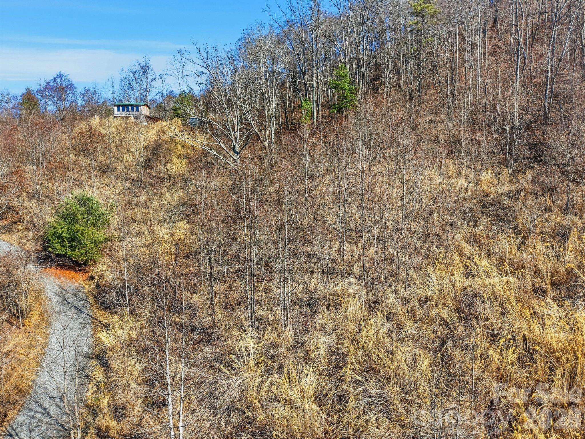 99999 Morgan Branch Road Marshall, NC 28753 - Photo 14 of 16