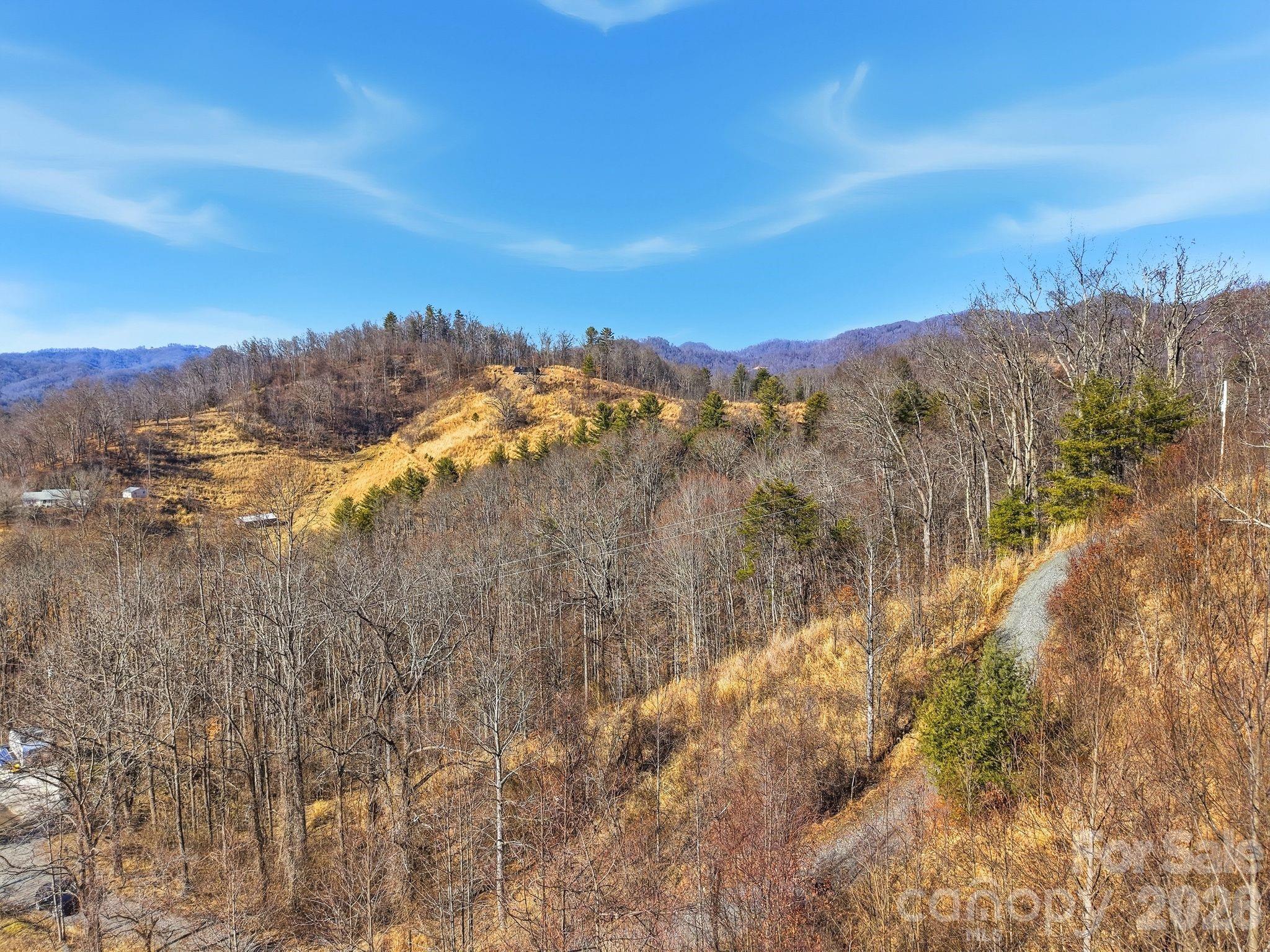 99999 Morgan Branch Road Marshall, NC 28753 - Photo 16 of 16