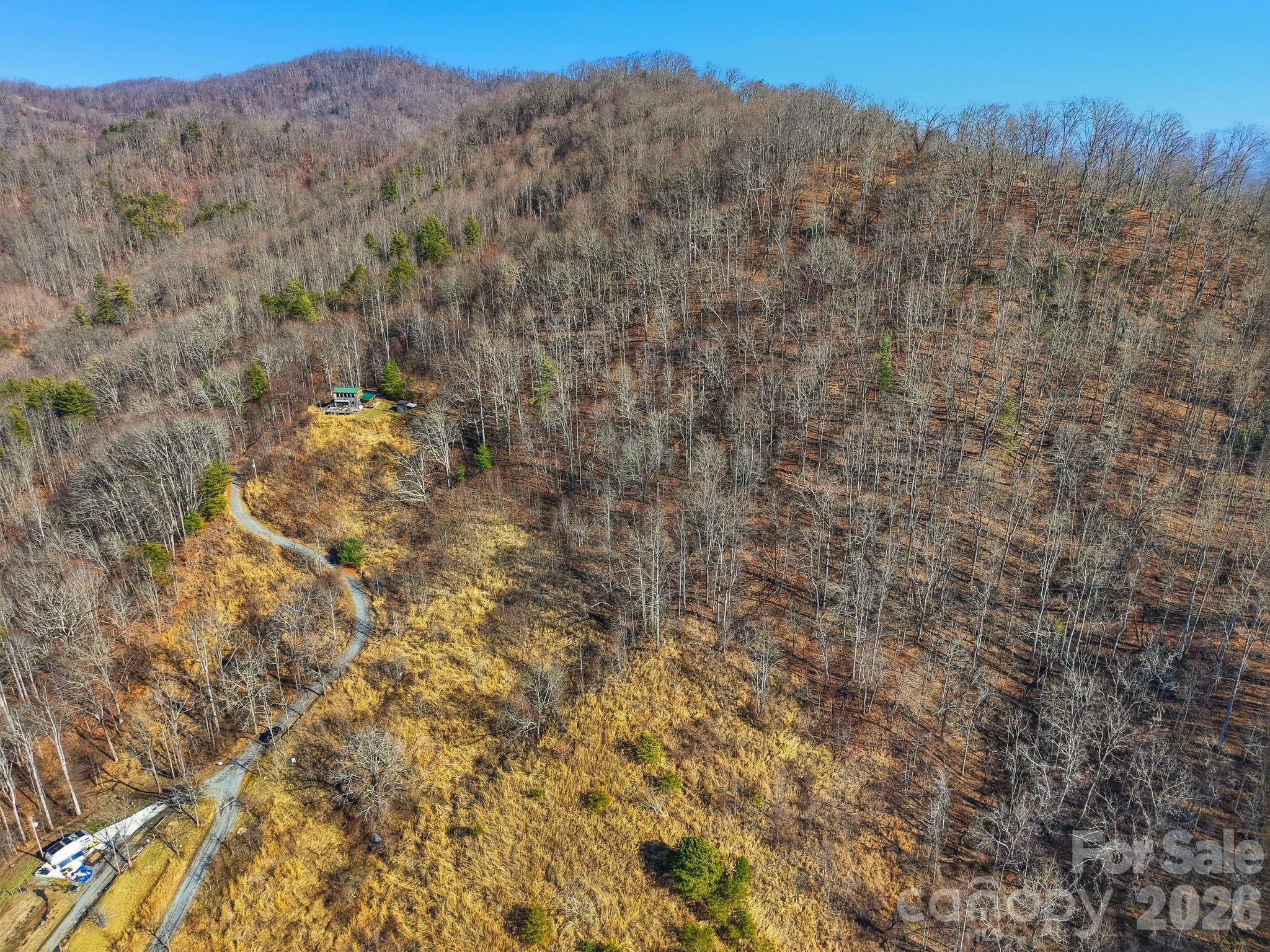 99999 Morgan Branch Road Marshall, NC 28753 - Photo 5 of 16