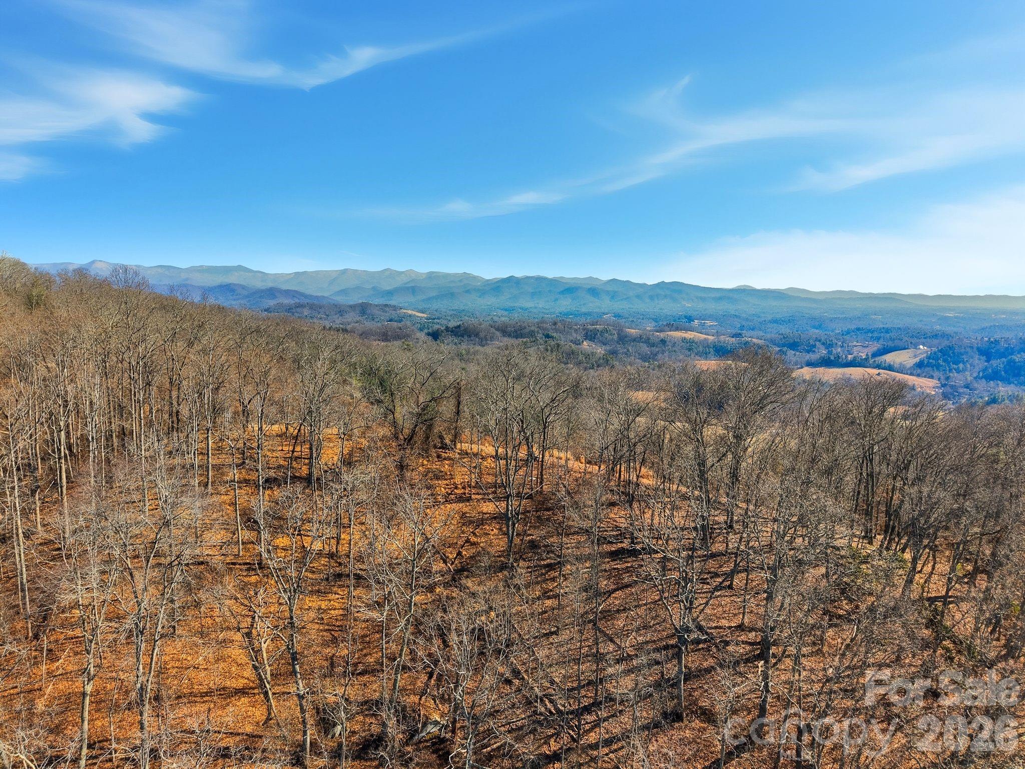 99999 Morgan Branch Road Marshall, NC 28753 - Photo 6 of 16