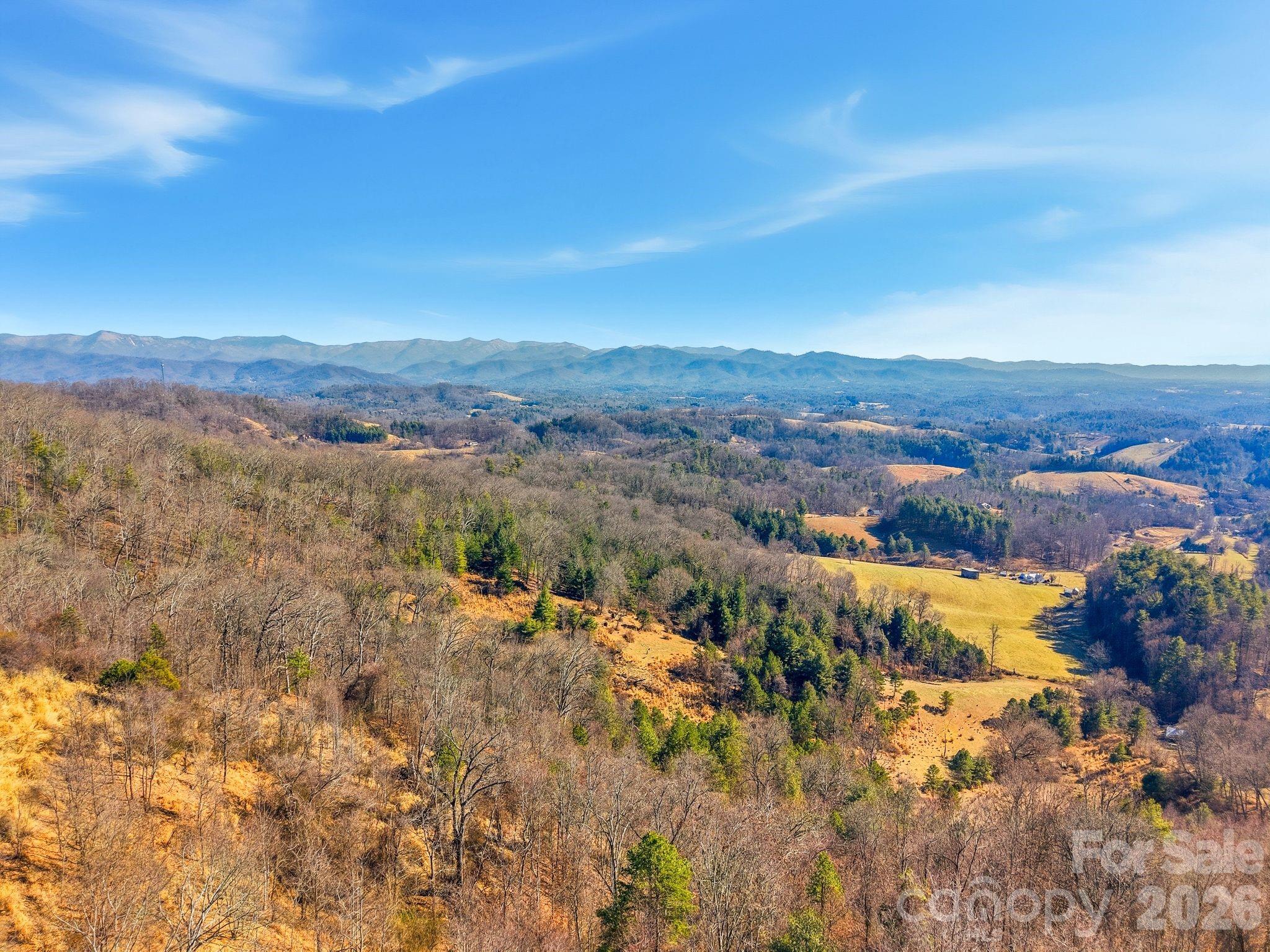 99999 Morgan Branch Road Marshall, NC 28753 - Photo 7 of 16