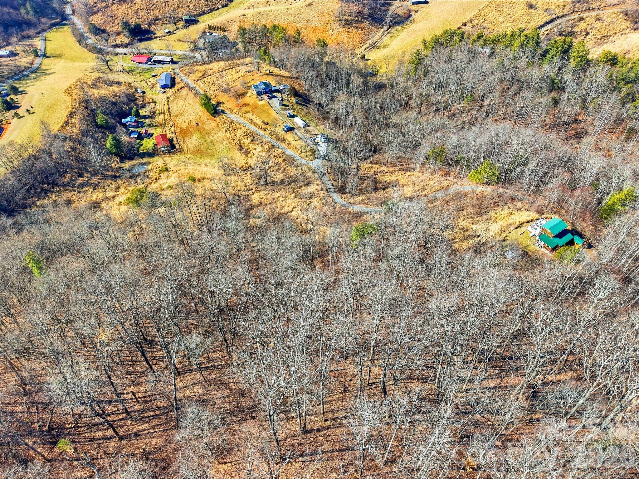 99999 Morgan Branch Road Marshall, NC 28753 - Photo 10 of 16