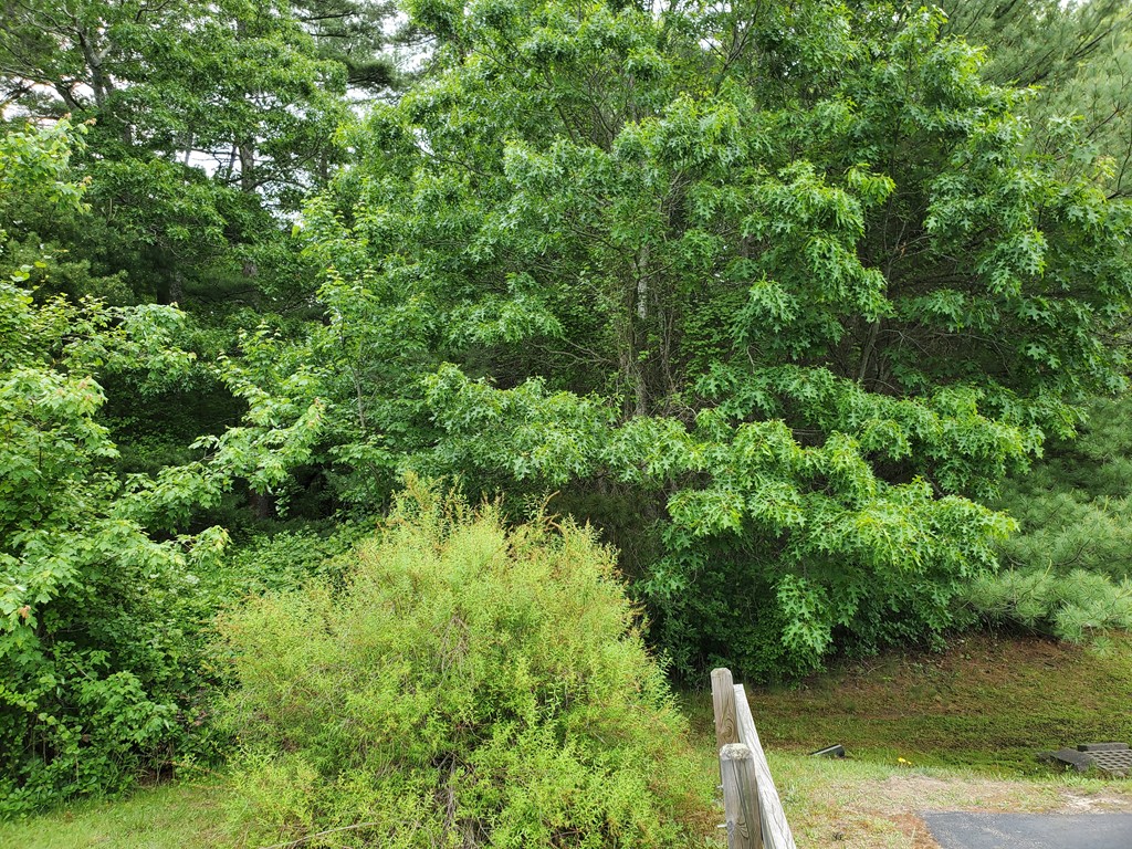 5 R Old Beaver Dam Road Wareham, MA 02571 - Photo 1 of 2 Gallery Image 1