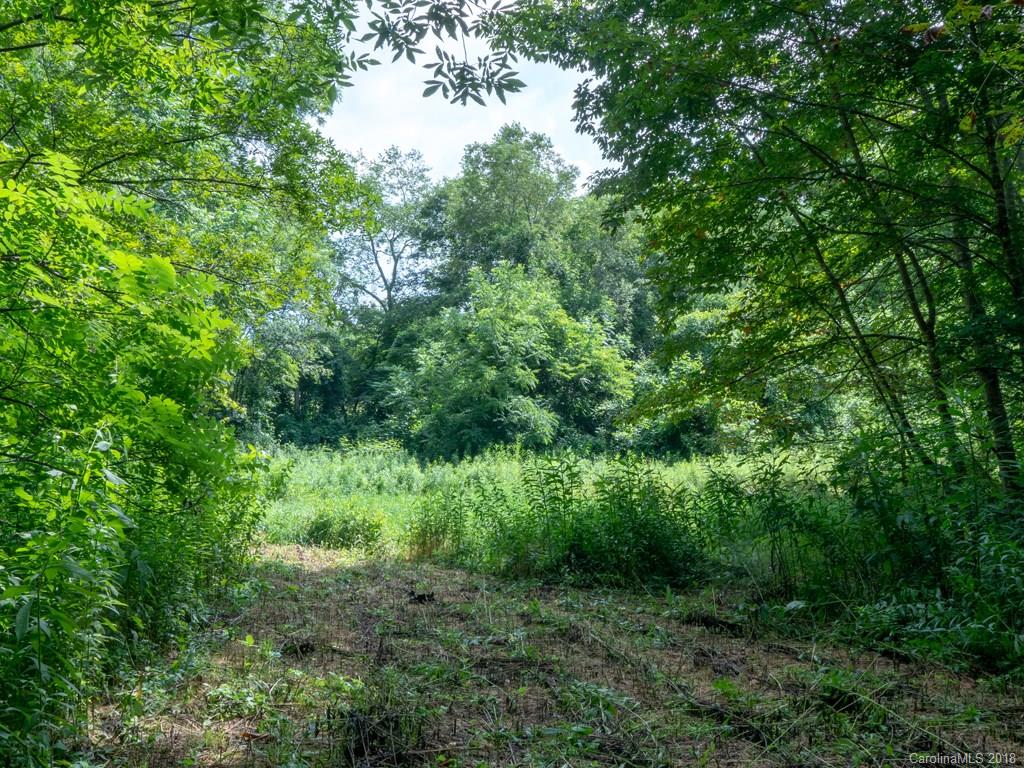 93 Circle East Ranch Road Burnsville, NC 28714 - Photo 5 of 30 Gallery Image 5
