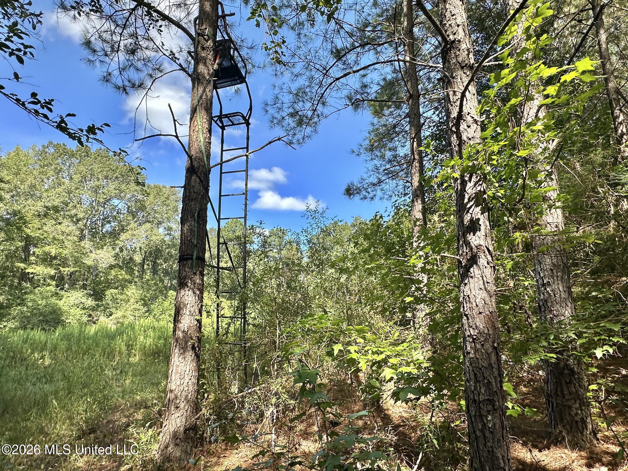 2 Dry Creek Road Magee, MS 39111 - Photo 6 of 20 7