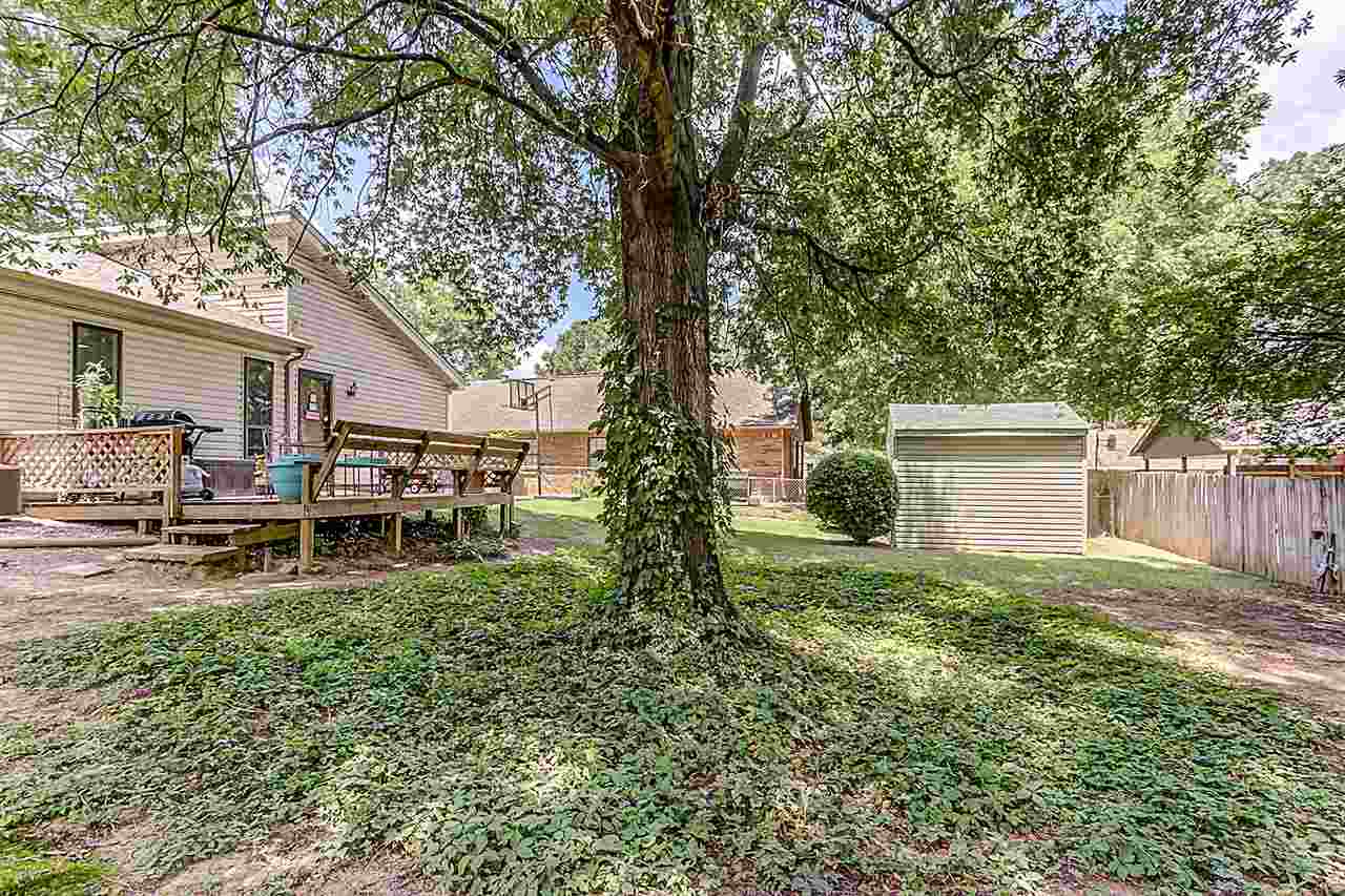 3838 Haynes Road Bartlett, TN 38133 - Photo 16 of 18 Gallery Image 16