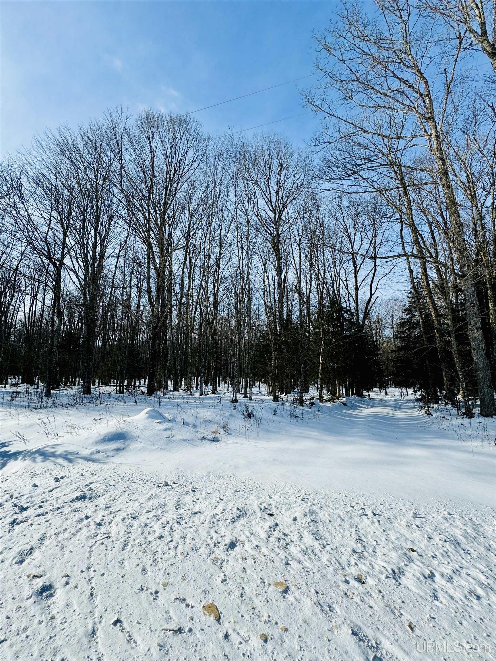 N2267 Coaster Road Trenary, MI 49891 - Photo 1 of 10 Gallery Image 1