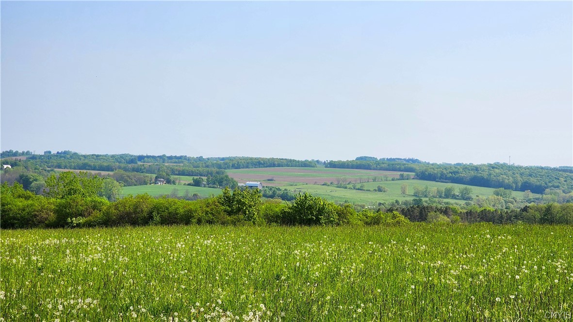 5332 State Street Owasco, NY 13021 - Photo 31 of 35