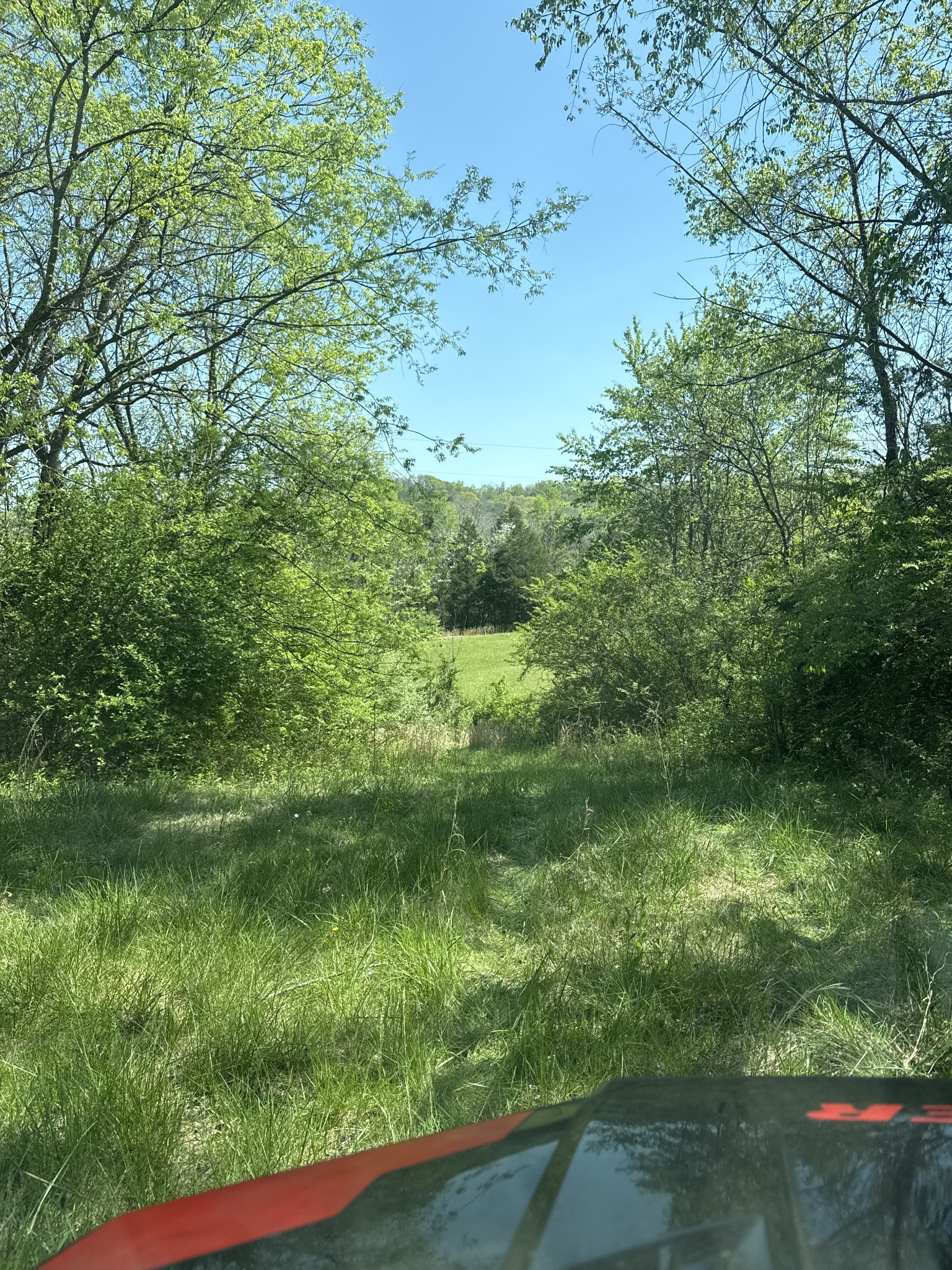 2255 Arthur Hutcherson Road Columbia, TN 38401 - Photo 7 of 8