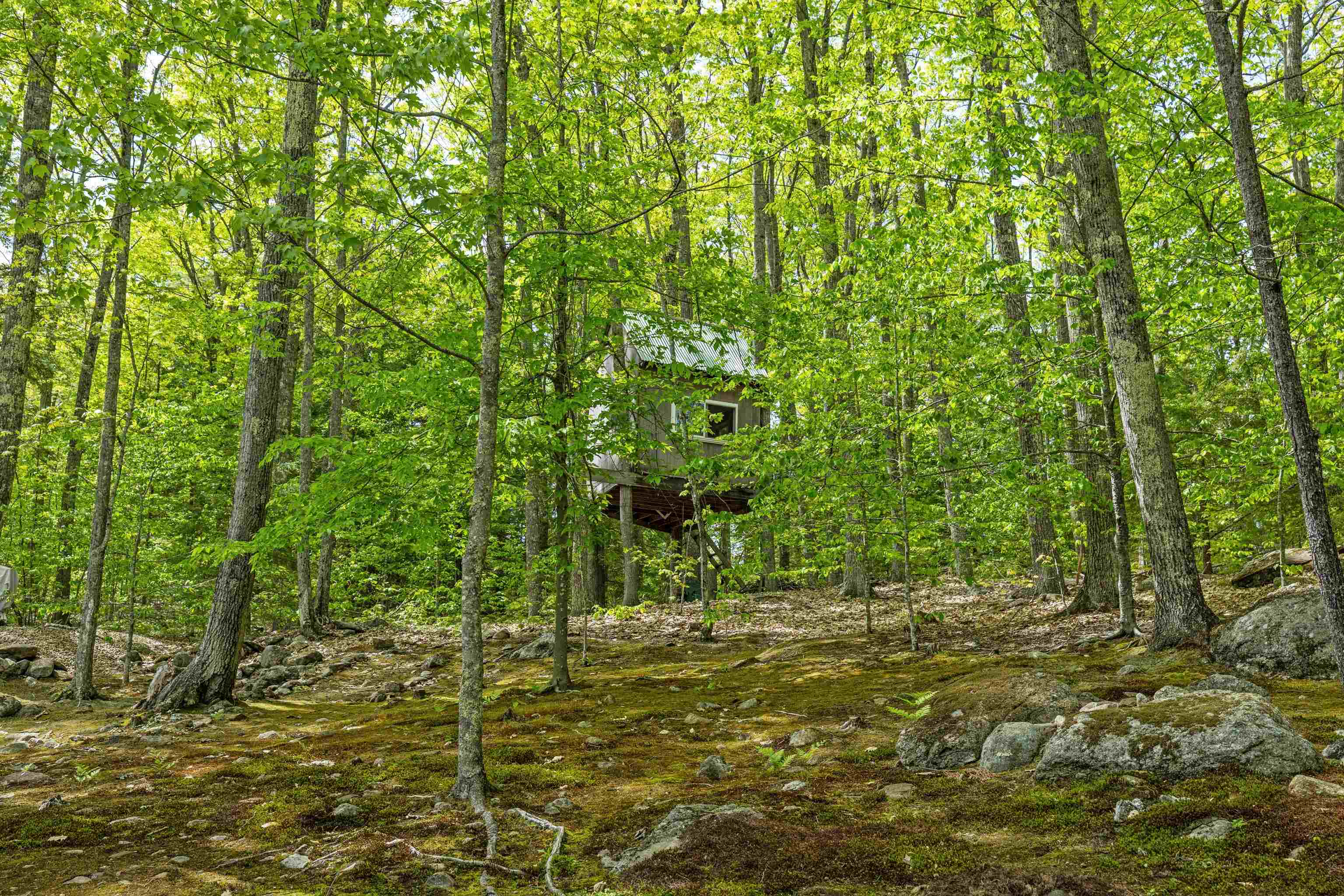 9 Red Oak Road Barnstead, NH 03218 - Photo 52 of 53