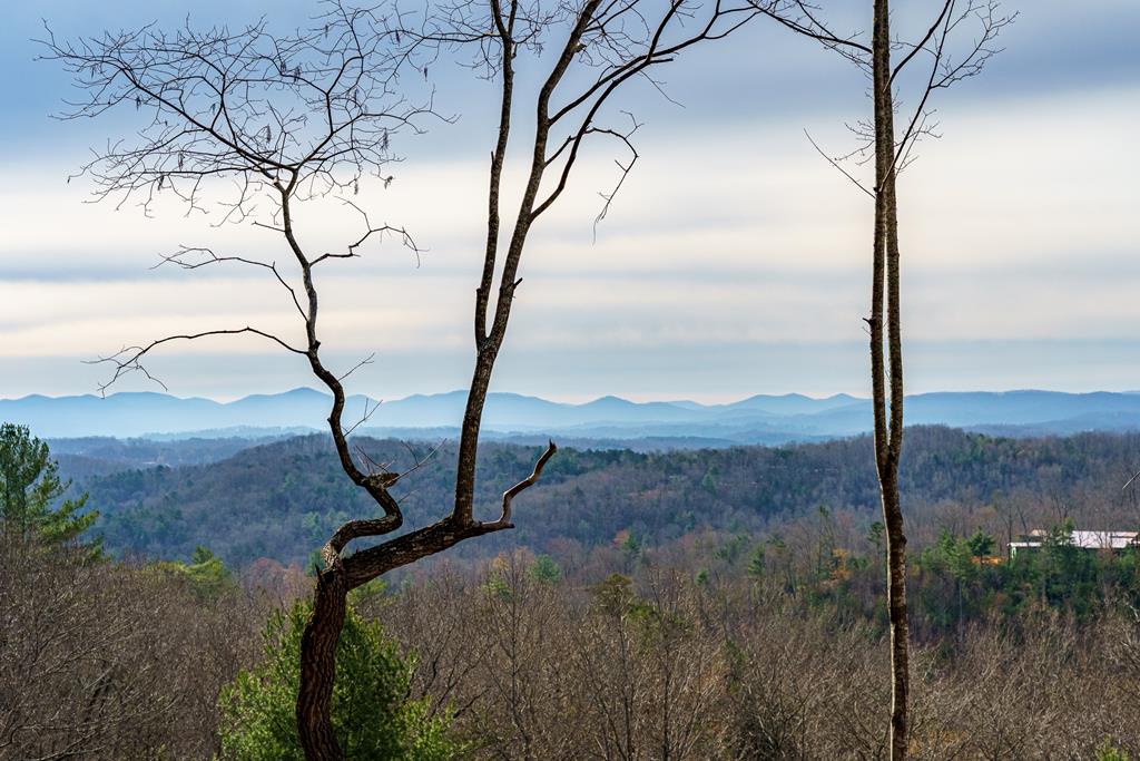 Lot 13 White Oak Circle Blue Ridge, GA 30513 - Photo 1 of 21 Main View