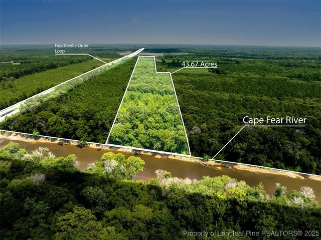 a view of a back yard of green space