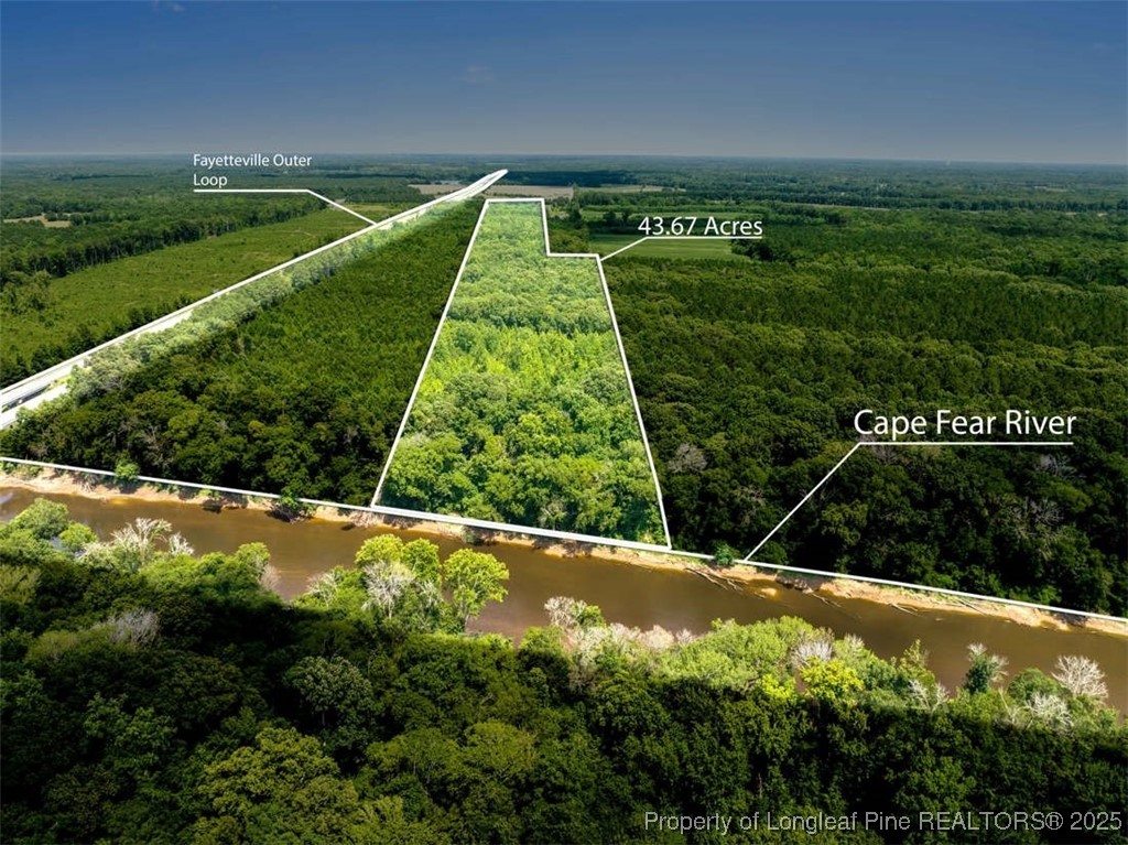 a view of a back yard of green space